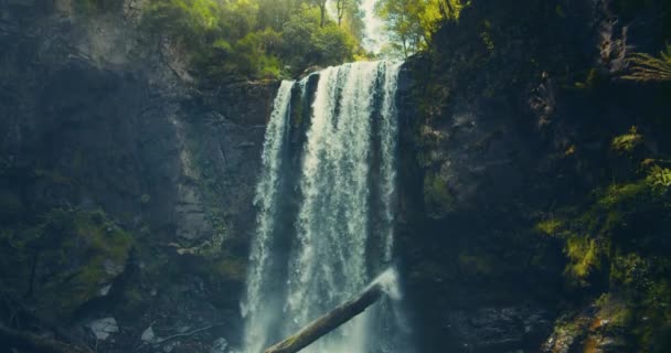 Hopetoun Falls v Otway National Park, Victoria, Austrálie — Stock video