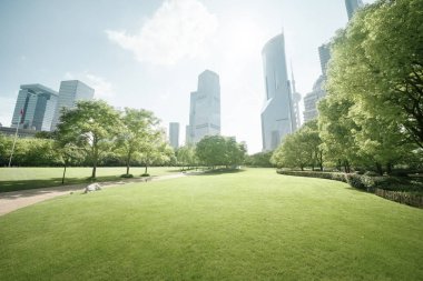 Yeşil Alan, Lujiazui Merkez, Şangay, Çin
