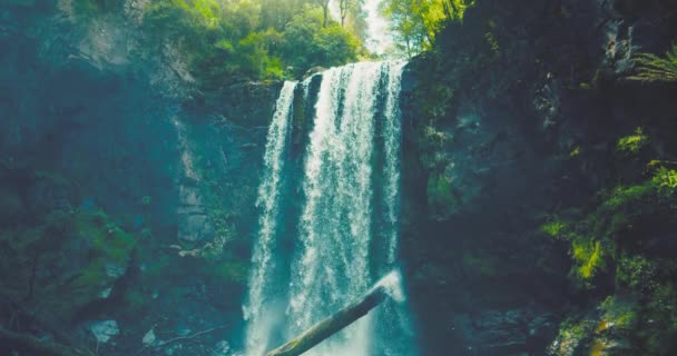 Hopetoun Falls in Otway National Park, Victoria, Australië — Stockvideo