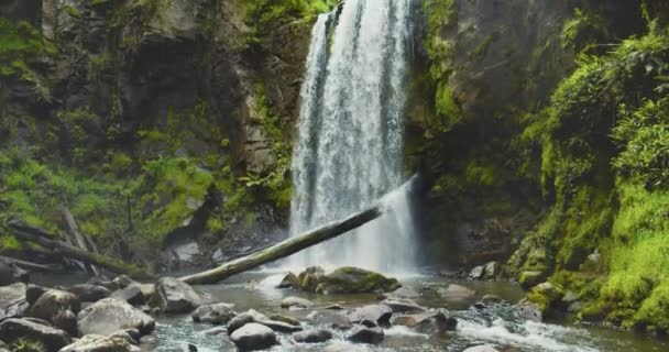 Hopetoun Falls v Otway National Park, Victoria, Austrálie — Stock video