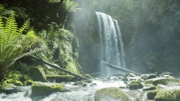Hopetoun Falls v Otway National Park, Victoria, Austrálie — Stock video