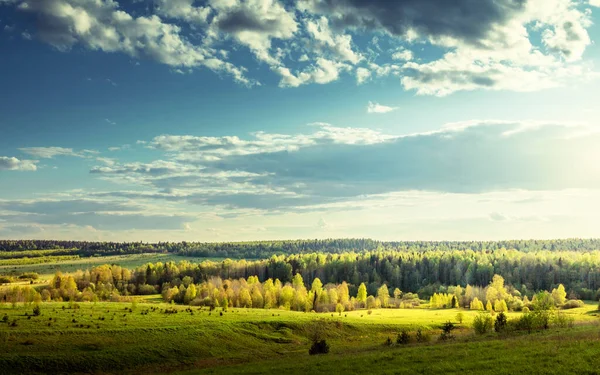 Feld Von Frühlingsgras Und Perfektem Himmel — Stockfoto