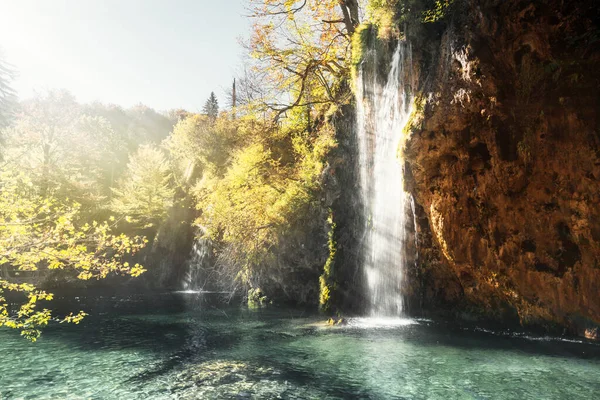 克罗地亚Plitvice湖森林瀑布 — 图库照片