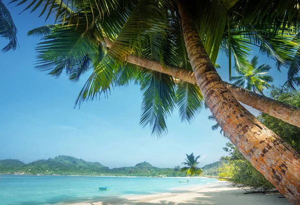 Naplemente Strandon Mahe Sziget Seychelles — Stock Fotó