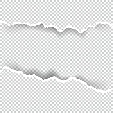 Kağıt saydam metin için yer ile sökük, sanat ve çizim vektör.