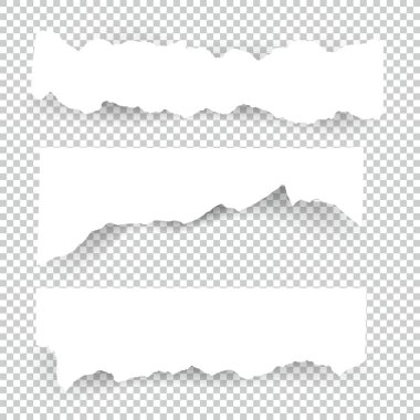 Boş yırtık kağıt sayfalarının kümesidir. Vektör Not parçaları toplama yapışkan bant ile