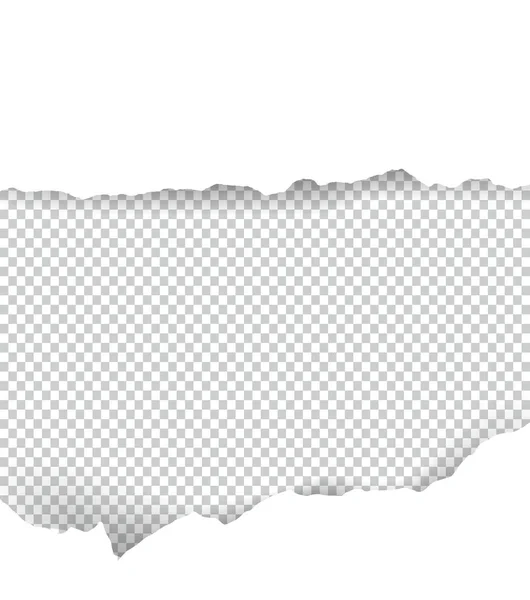 Papel rasgado transparente con espacio para texto — Vector de stock
