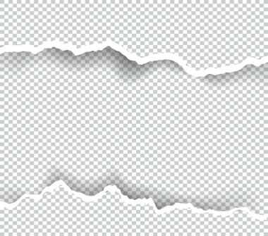 Kağıt saydam metin için yer ile sökük, sanat ve çizim vektör