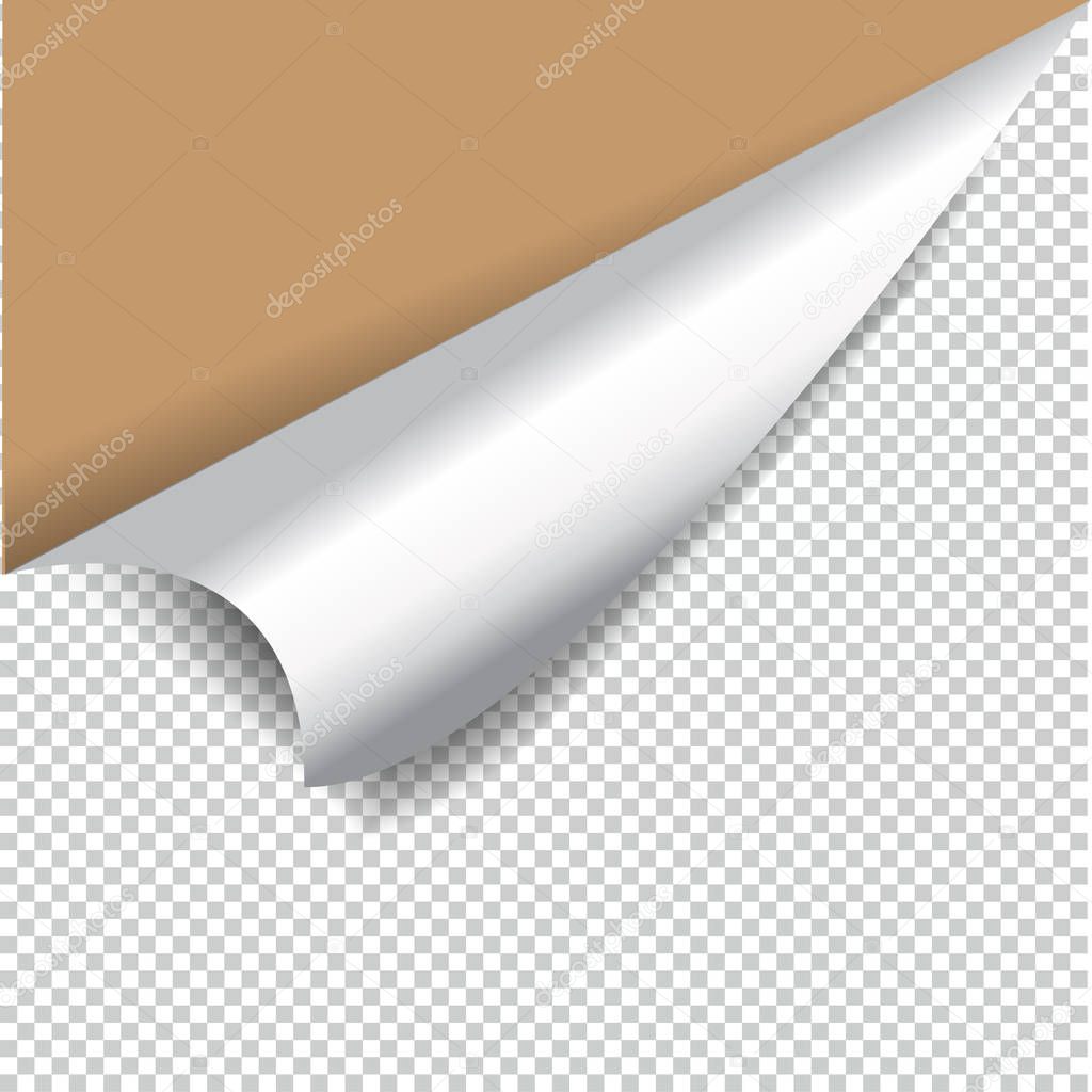 Curly Page Corner realistic illustration with transparent shadow