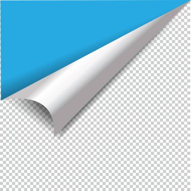 Saydam gölge ile Kıvırcık Sayfa Köşesi gerçekçi illüstrasyonuName.