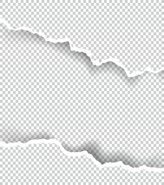 Kağıt saydam metin için yer ile sökük, sanat ve çizim vektör.