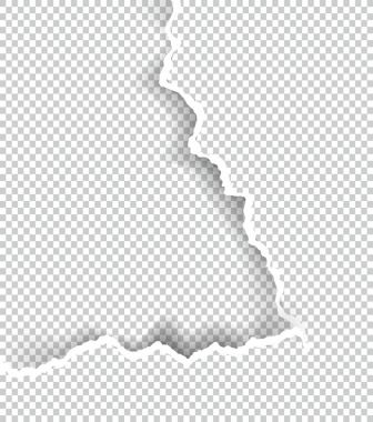 Kağıt saydam metin için yer ile sökük, sanat ve çizim vektör.