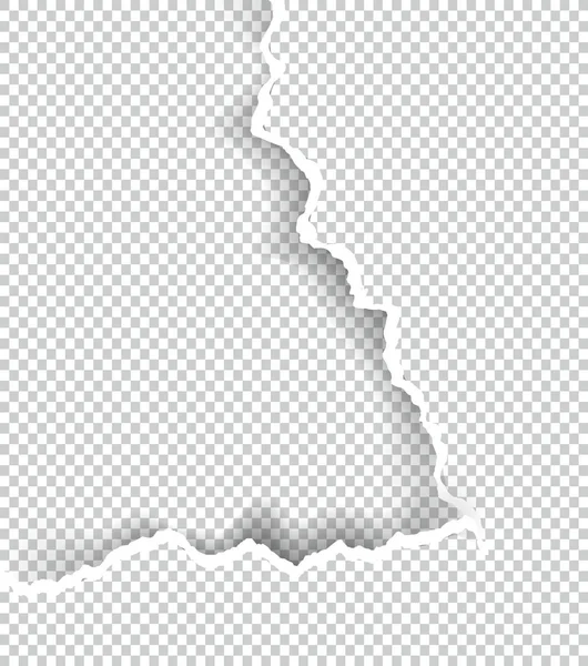 Kağıt saydam metin için yer ile sökük, sanat ve çizim vektör.