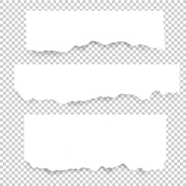 Boş yırtık kağıt sayfalarının kümesidir. Vektör Not parçaları toplama yapışkan bant ile.