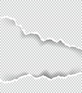 Kağıt saydam metin için yer ile sökük, sanat ve çizim vektör.