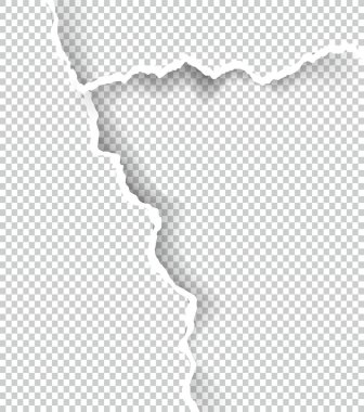 Kağıt saydam metin için yer ile sökük, sanat ve çizim vektör.