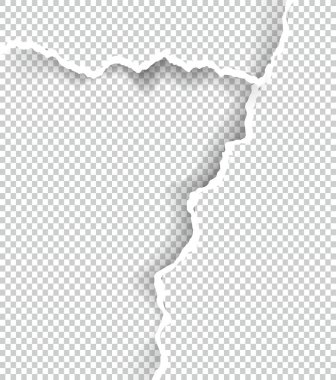 Metin, vektör sanat ve çizim alanı ile şeffaf yırtık kağıt.