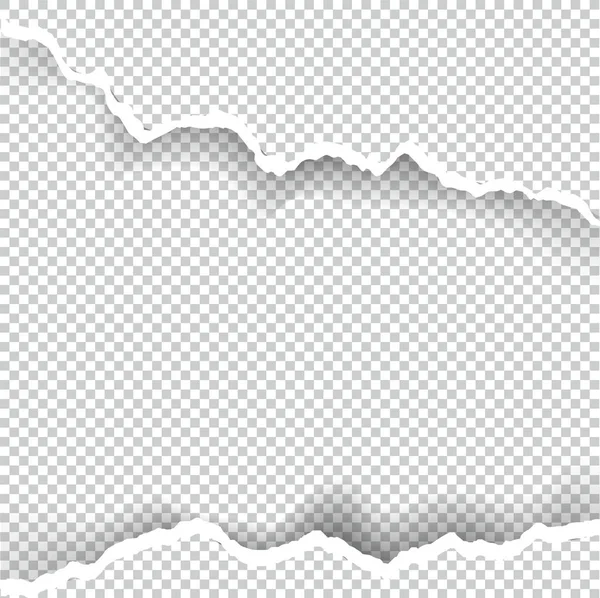 Kağıt saydam metin için yer ile sökük, sanat ve çizim vektör.