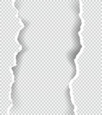 Metin, vektör sanat ve çizim alanı ile şeffaf yırtık kağıt.