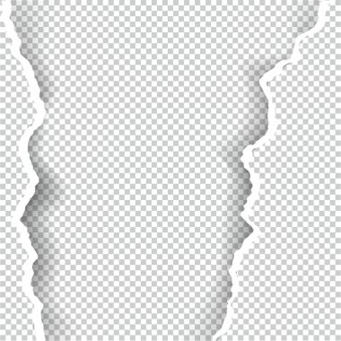 Kağıt saydam metin için yer ile sökük, sanat ve çizim vektör.