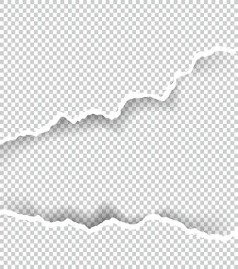 Kağıt saydam metin için yer ile sökük, sanat ve çizim vektör.