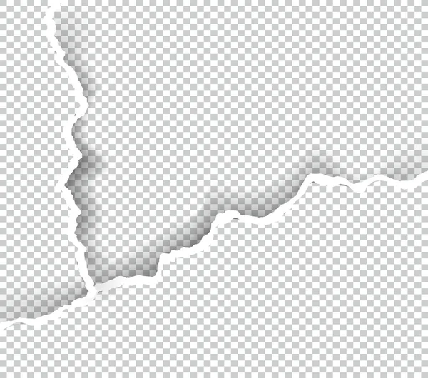 Metin, vektör sanat ve çizim alanı ile şeffaf yırtık kağıt.