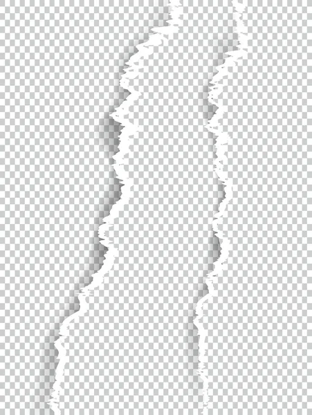 Metin, vektör sanat ve çizim alanı ile şeffaf yırtık kağıt.