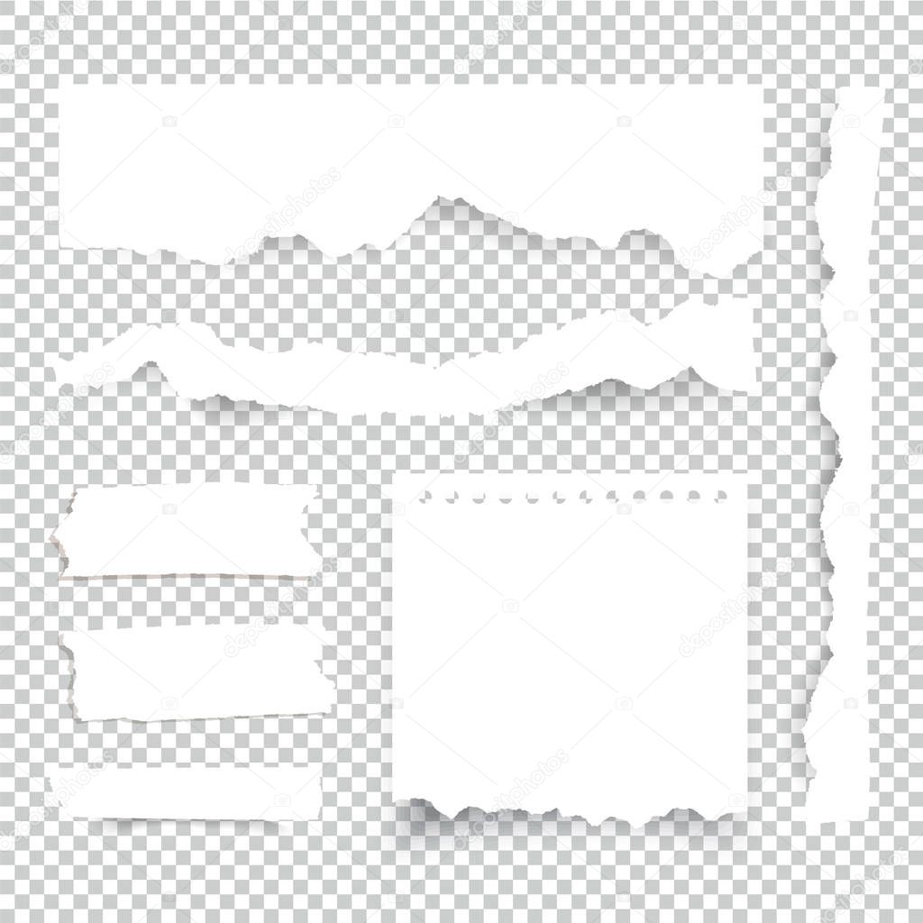 Blank Torn paper sheets. Vector note pieces collection with sticky tape.