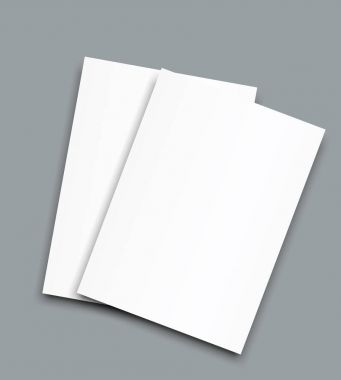 Vektör çerçeve poster boş kağıt mockup A4 büyüklük