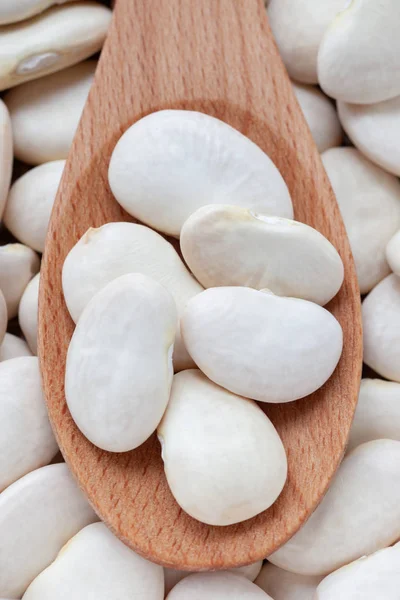 Lima Large Bean in wooden spoon background, full frame. — 스톡 사진