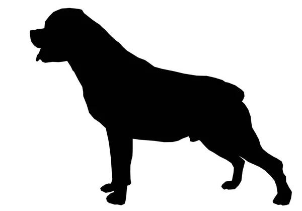 Черный Силуэт Собаки Белом Фоне — стоковое фото