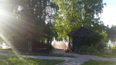 Yaz manzara su doğa yeşil