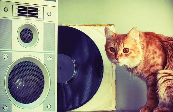 Ön plan, kırmızı kedi ve kaydına eski müzik hoparlör — Stok fotoğraf