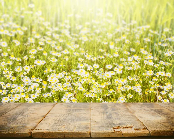 Empty wooden table for display, natural background with daisies — Stock Photo, Image