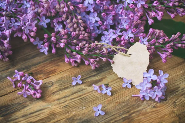 Bouquet lilas violet parfumé, étiquette en papier — Photo