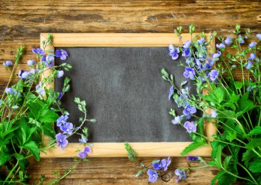 biraz narin mavi çiçekler Farsça speedwell, blackboard fr içinde