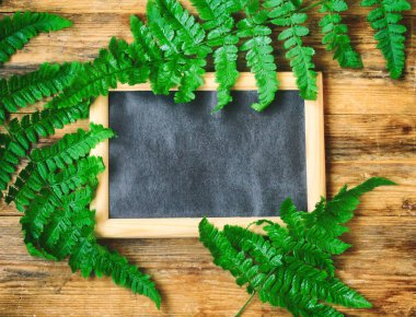 Islak eğreltiotu yaprakları, tahta çerçeve içinde