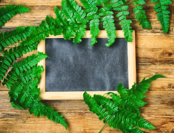 Islak eğreltiotu yaprakları, tahta çerçeve içinde