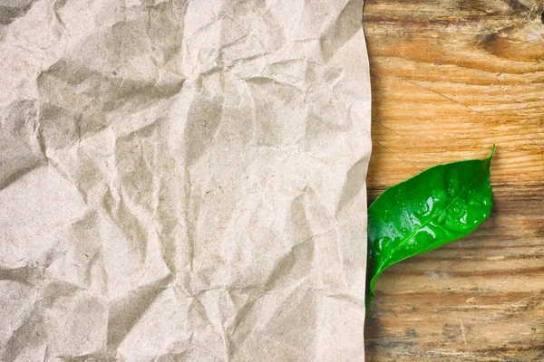 Hoja arrugada de papel beige de embalaje, hoja verde en la mesa — Foto de Stock