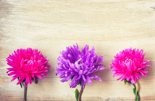 Τρεις asters λουλούδι, ροζ και μωβ, στο ξύλινο τραπέζι — Φωτογραφία Αρχείου