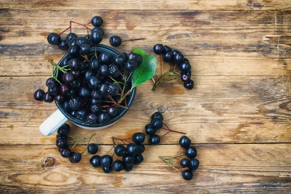 chokeberry Kupası'nda, demet