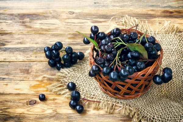 Bunches of chokeberry in wicker basket, burlap cloth — Stock Photo, Image