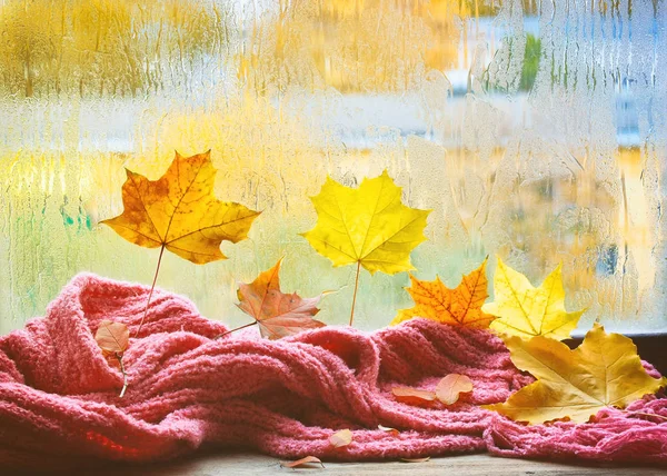 Samenstelling herfstbladeren en roze sjaal — Stockfoto