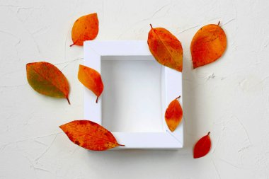 Beyaz çerçeve, renkli alay etmek yukarıya sonbahar yaprakları