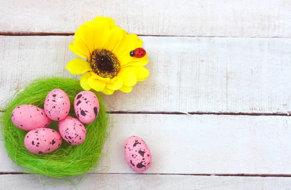 Fondo de vacaciones de Pascua, huevos rosados, flor amarilla — Foto de Stock