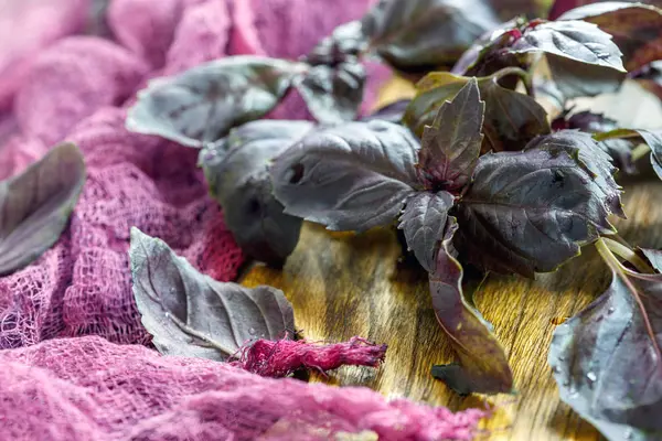 Sprigs purple basil close-up.