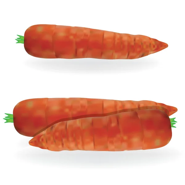 胡萝卜矢量素食食品孤立的细节对象上白 — 图库矢量图片