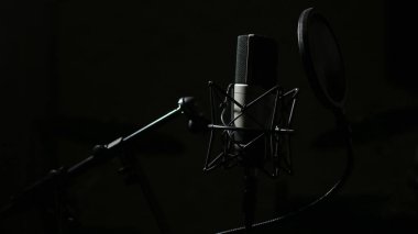 Studio profesyonel mikrofon