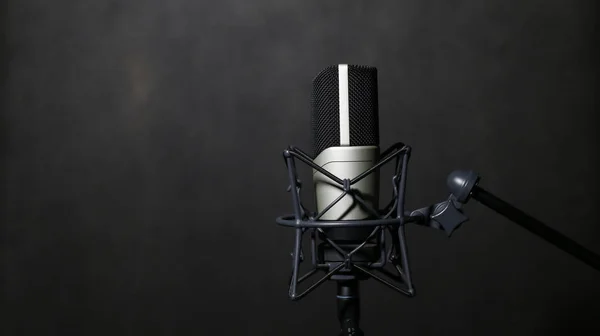 Professional Microphone 3 — Stock Photo, Image