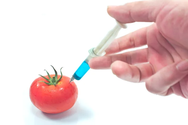 Injection for a genetically modified tomatoes isolated — Stock Photo, Image